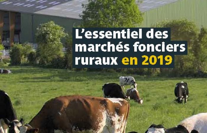 Les marchés fonciers ruraux 2019 