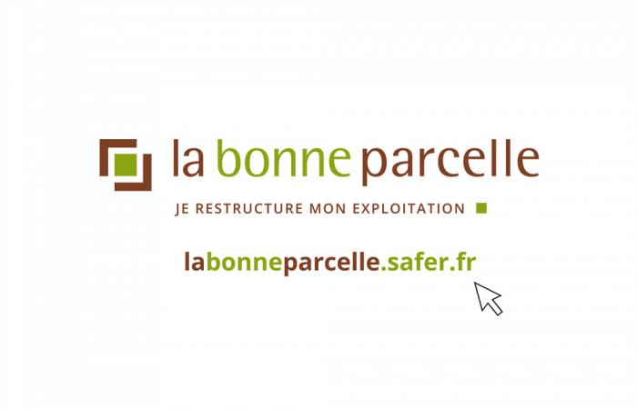 Lancement de la bonne parcelle