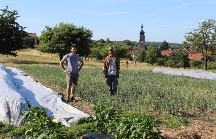 Une double installation à Liederschiedt