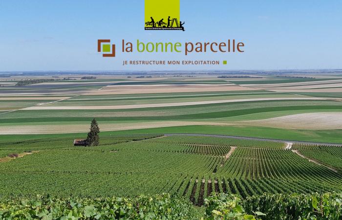 La bonne idée… La bonne parcelle : une plateforme d'échanges de vignes 