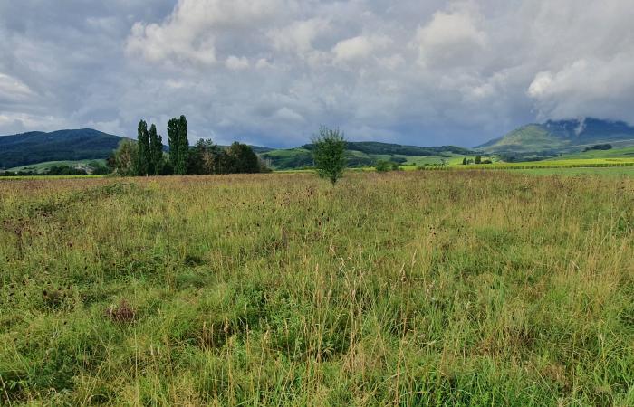Un partenariat entre le FARB et la Safer Grand Est pour préserver la biodiversité en Alsace